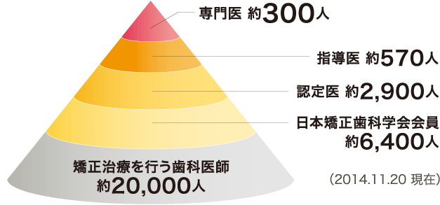 矯正 専門医 在籍の 定額制 歯列矯正歯科医院 矯正歯科みねた 越前市 敦賀市からも多数来院